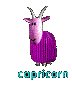 Capricorn